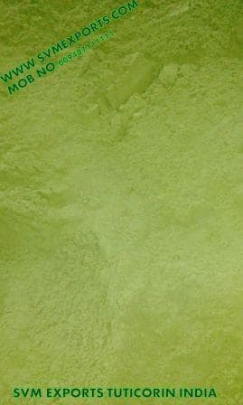 Moringa Leaf Powder Suppliers India